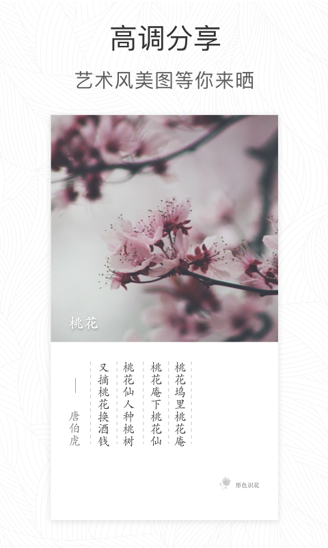 形色APP最新版