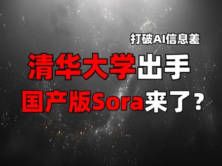 清华出手必属精品，国产之光vidu来了（附申请教程）