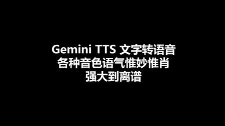Gemini TTS 文字转语音 各种音色语气惟妙惟肖 强大到离谱 单人语音多人语音全拿下