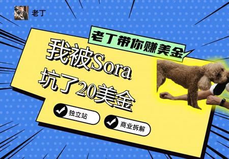 20美金血亏！sora使用教程，看完你就明白了！