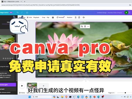 canva终身免费账号，永久免费canva，快来申请，真实有效！