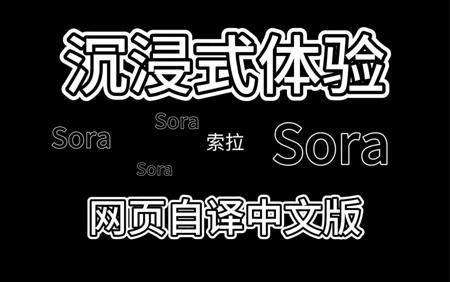 沉浸式认识Sora—中文版