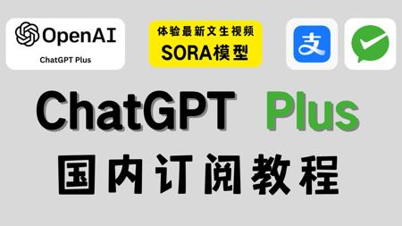 【保姆级】ChatGPT Plus / Claude会员国内订阅教程 | 最新Sora文生视频模型体验 | wildcard