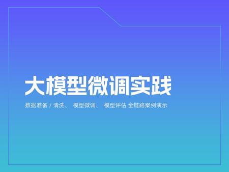 大模型微调实践数据准备/清洗、模型微调、模型评估 全链路案例演示