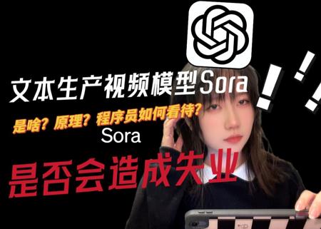 全网最快！程序员带你快速了解文本生成视频模型Sora