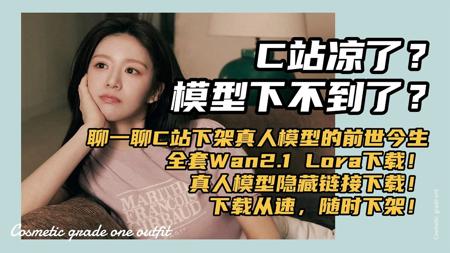 Ai基础46-C站凉了？ 模型下不到了？全套Wan2.1 Lora下载！聊一聊C站下架真人模型的前世今生！真人模型隐藏链接下载！备份-T8 Comfyui教程