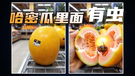 让你食欲大振的视频怎么做