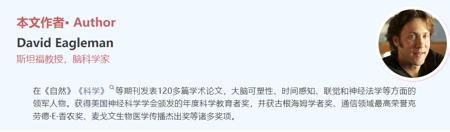 万字追问：人类需要AI，还是更需要自身AI化？