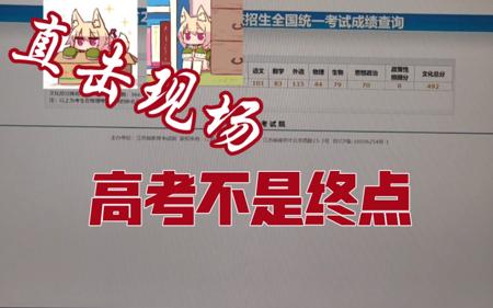 最真实的高考查分（第一视角）