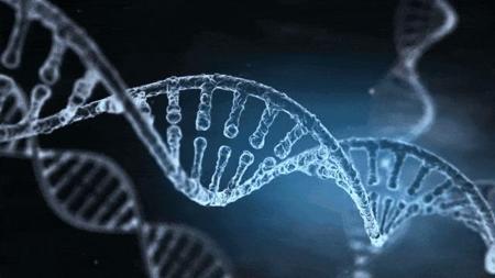 谷歌AlphaGenome横空出世，40亿年生命代码一键破解，或再夺诺奖